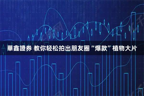 華鑫證券 教你轻松拍出朋友圈“爆款”植物大片