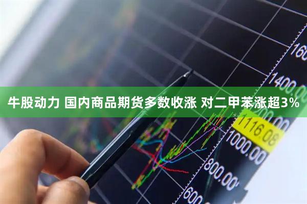 牛股动力 国内商品期货多数收涨 对二甲苯涨超3%