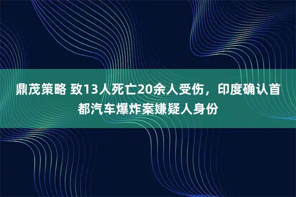 鼎茂策略 致13人死亡20余人受伤,印度确认首都汽车爆炸案嫌疑人身份