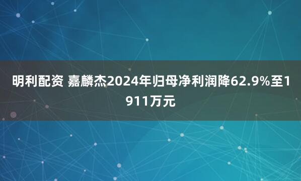 明利配资 嘉麟杰2024年归母净利润降62.9%至1911万元