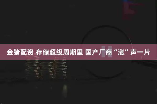 金猪配资 存储超级周期里 国产厂商“涨”声一片